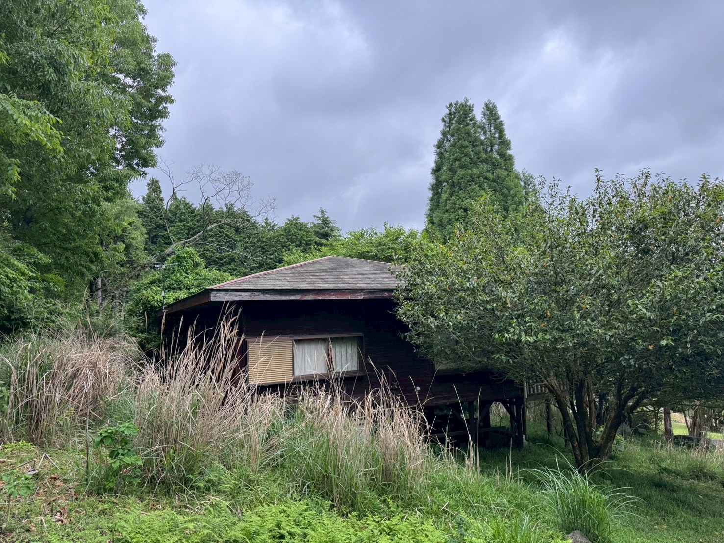 湯布院・中古住宅